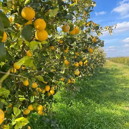 公寓 Le Scuderie 4 加拉托内