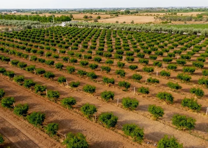 Le Scuderie 4 Апартаменты *